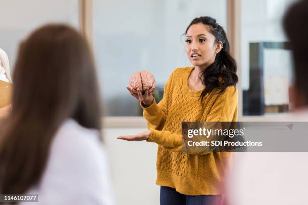 teenage meisje geeft klasse presentatie over de menselijke hersenen - brain model stockfoto's en -beelden