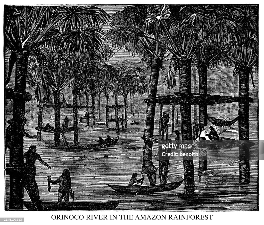 Orinoco River in the Amazon Rainforest