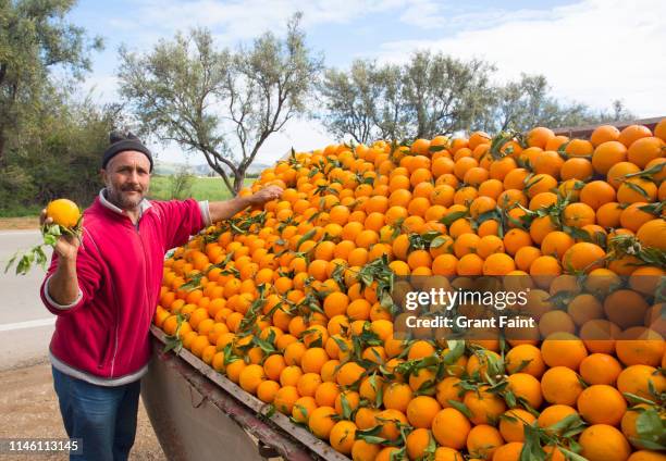 man selling oranges. - maroc business stock-fotos und bilder