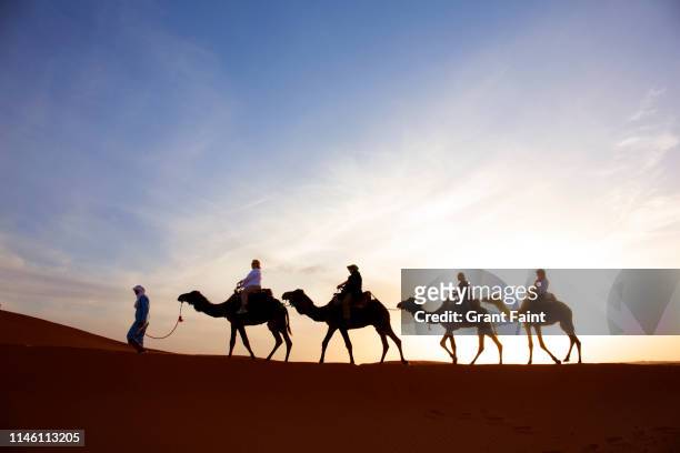 tourists on camels in desert. - 隊商 ストックフォトと画像