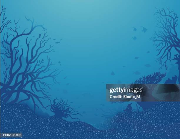 bildbanksillustrationer, clip art samt tecknat material och ikoner med undervattens landskap/fond de mer - blue anemone