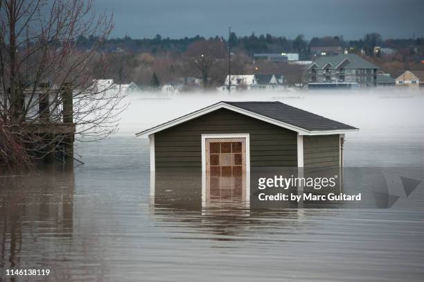 flooded shed in downtown fredericton, new brunswick, canada - new brunswick canada 個照片及圖片檔