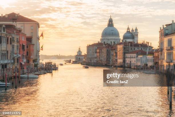 in the morning light of venice - santa maria della salute stock pictures, royalty-free photos & images