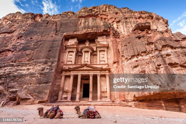 camels resting in front of al khazneh (the treasury) in petra - petra jordan stock pictures, royalty-free photos & images