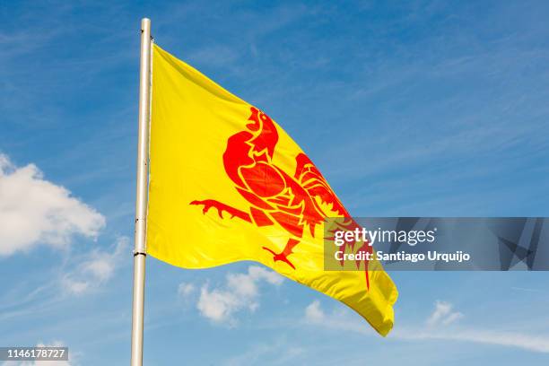 wallonia flag - flags stockfoto's en -beelden