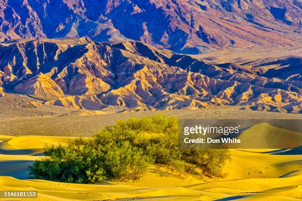 death valley california - mesquite flat dunes stock pictures, royalty-free photos & images