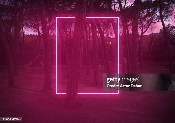 rectangle red light neon between pine trees with futuristic visual effect. - puerta principal fotografías e imágenes de stock