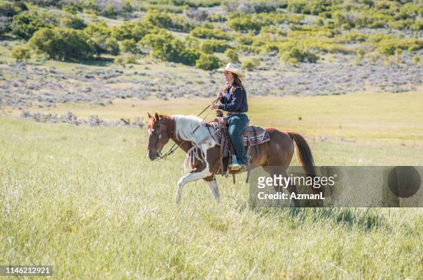 vrouwelijke western rancher paardrijden paint horse door utah grasland - western shirt stockfoto's en -beelden