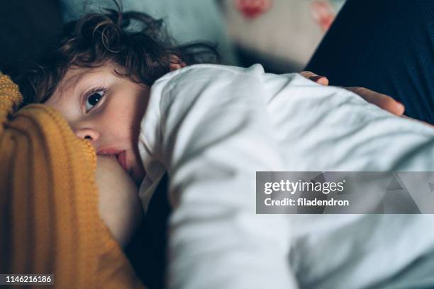 lactancia materna - maman fotografías e imágenes de stock