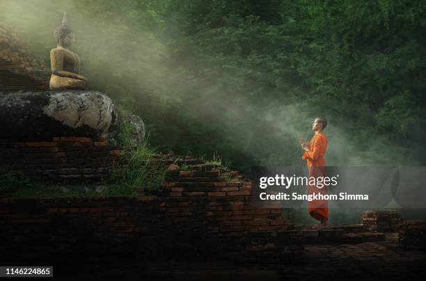 monk worship the buddha statue. - ayuthaya imagens e fotografias de stock