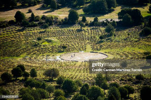 sad hill cemetery, burgos, spain. - the cemetery for foreigners bildbanksfoton och bilder