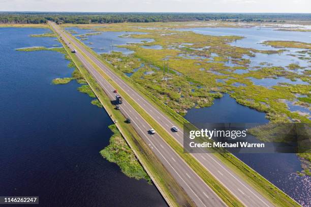 paynes prairie gainesville, fl - gainesville flórida - fotografias e filmes do acervo