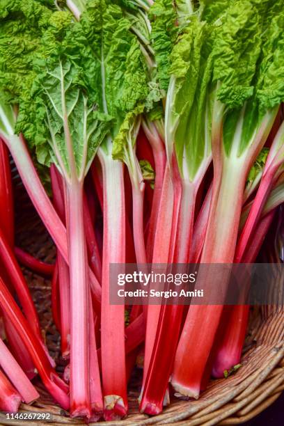 rhubarb on sale at vegetables market - rabarber stockfoto's en -beelden
