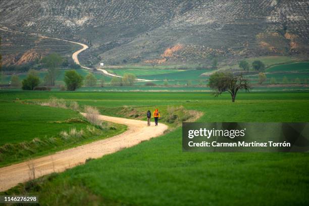 pilgrims. the way of st. james, burgos. spain - サンチャゴ巡礼の道 ストックフォトと画像