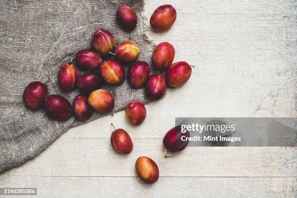 high angle close up of fresh damsons on grey cloth. - damson stock-fotos und bilder