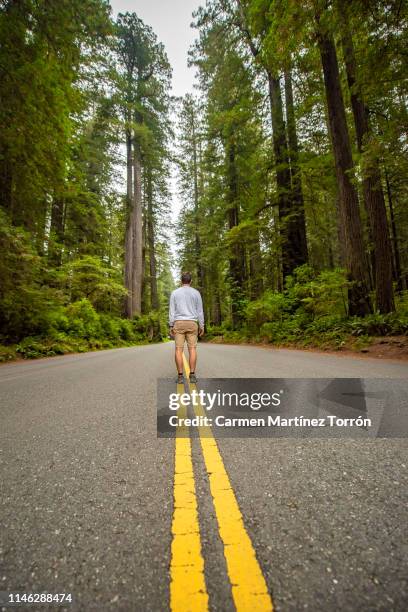 rear view of man walking on the road at forest in redwoods national park, usa. - redwood city california foto e immagini stock