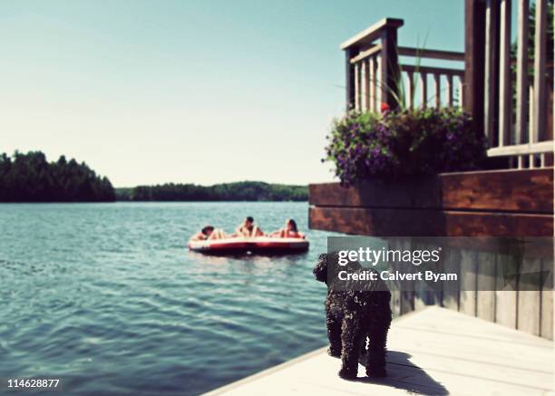 Cottage Fun Cottage Dock Fun Photos and Premium High Res Pictures - Getty Images