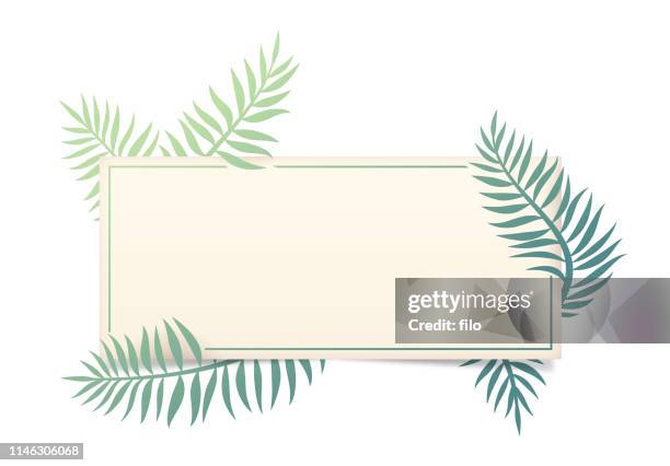 palm leaf frame - palm leaf stock illustrations