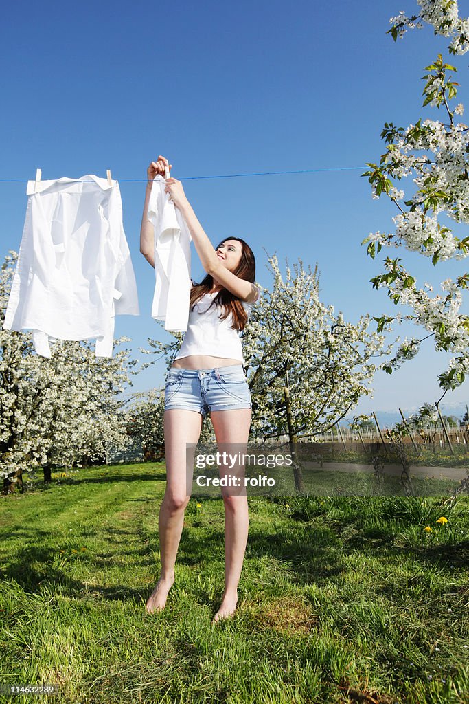 Laundry Orchard