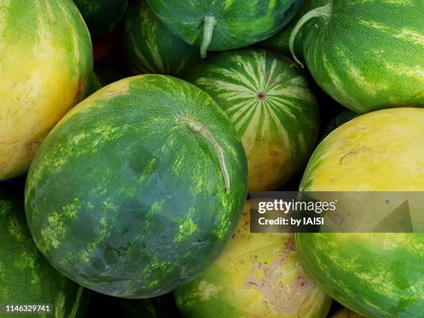 very big ripe, refreshing watermelons at the market, green and yellow - ripe stock pictures, royalty-free photos & images