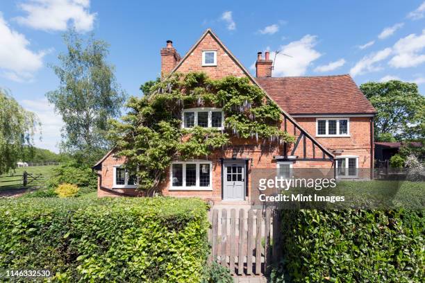ivy growing on house over front lawn - english mansion stock pictures, royalty-free photos & images