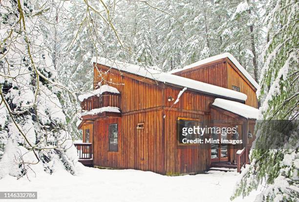 modern wood cabin in snowy forest - nord ouest photos et images de collection