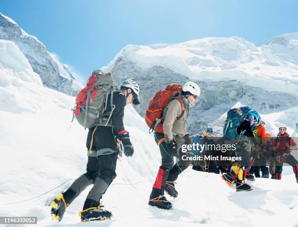 hikers backpacking on mountain, everest, khumbu region, nepal - adrenaline stockfoto's en -beelden