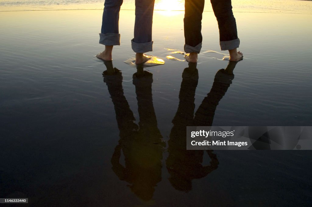 Reflection of legs in water at beach