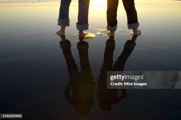 reflection of legs in water at beach - respect nature stock pictures, royalty-free photos & images