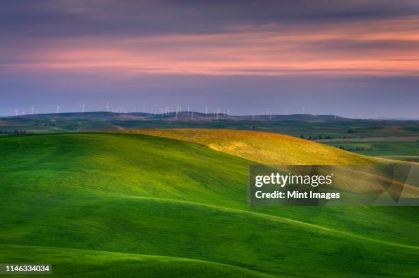 rolling green hills in rural landscape - palouse sunset stock pictures, royalty-free photos & images