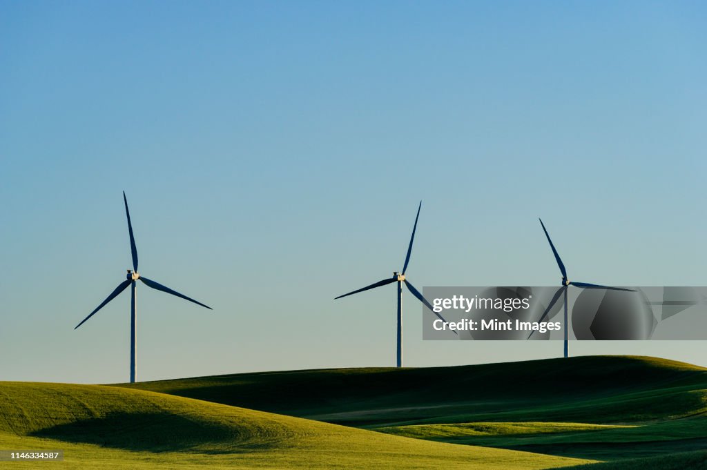 Wind turbines in green rolling landscape