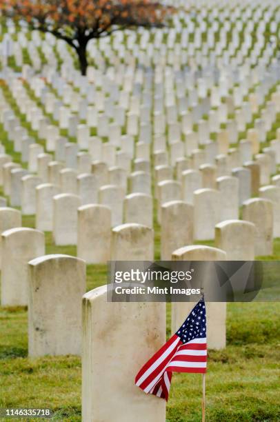 american flag planted in veteran cemetery - vlag planten stockfoto's en -beelden