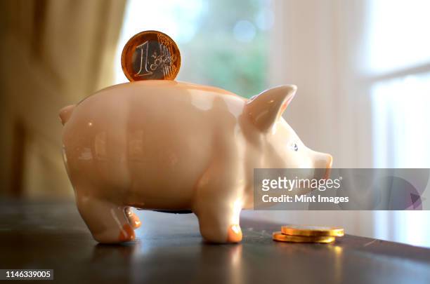 coin in slot of piggy bank - european union coin stock pictures, royalty-free photos & images