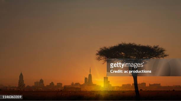 silhouette of tree in front of city skyline at sunset in nairobi, kenya - nairobi stockfoto's en -beelden