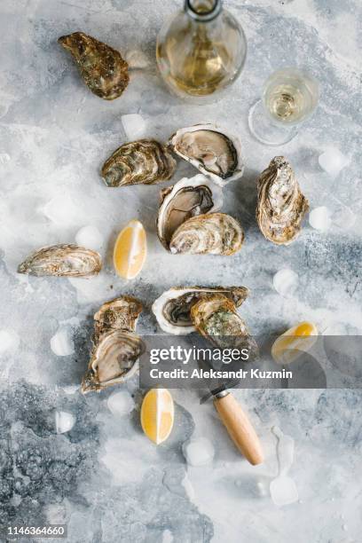 raw oysters with lemon and champagne - oysters stockfoto's en -beelden