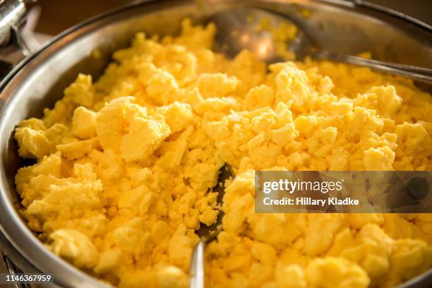 close up of scrambled eggs - ovo mexido imagens e fotografias de stock