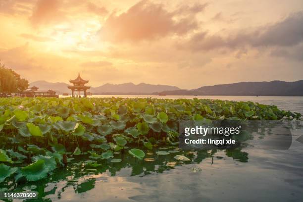 hangzhou west lake jixian pavilion sunset scenery - west lake hangzhou 個照片及圖片檔