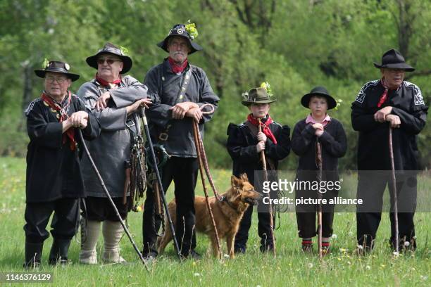 May 2019, Saxony-Anhalt, Tanne: Cow herders stand with their staffs at the "Kuhball" on a meadow in the Oberharzort. A thousand people gathered in...
