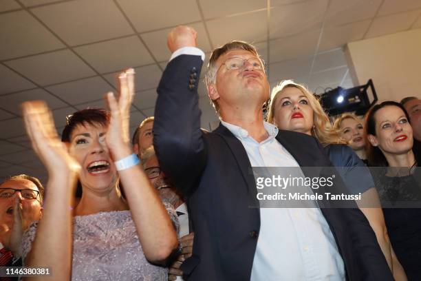 Supporters and the main candidate Joerg Meuthen , Center, of the right-wing Alternative for Germany political party react to exit poll results that...