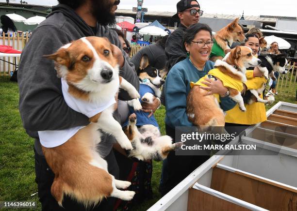 Corgi dog prepare to start the race during the heats of the Southern California "Corgi Nationals" championship at the Santa Anita Horse Racetrack in...