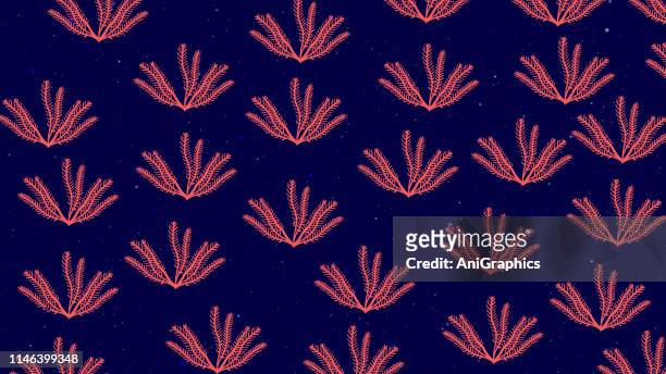 seaweed item pattern background - aquatic organism stock illustrations