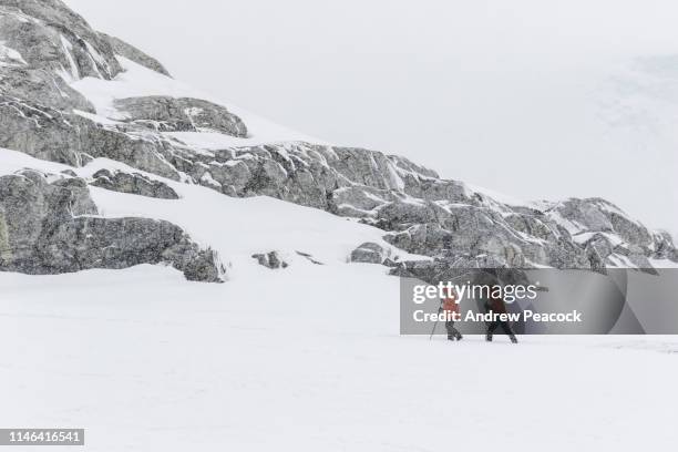 two people walking in a snowstorm - antarctica people stock pictures, royalty-free photos & images