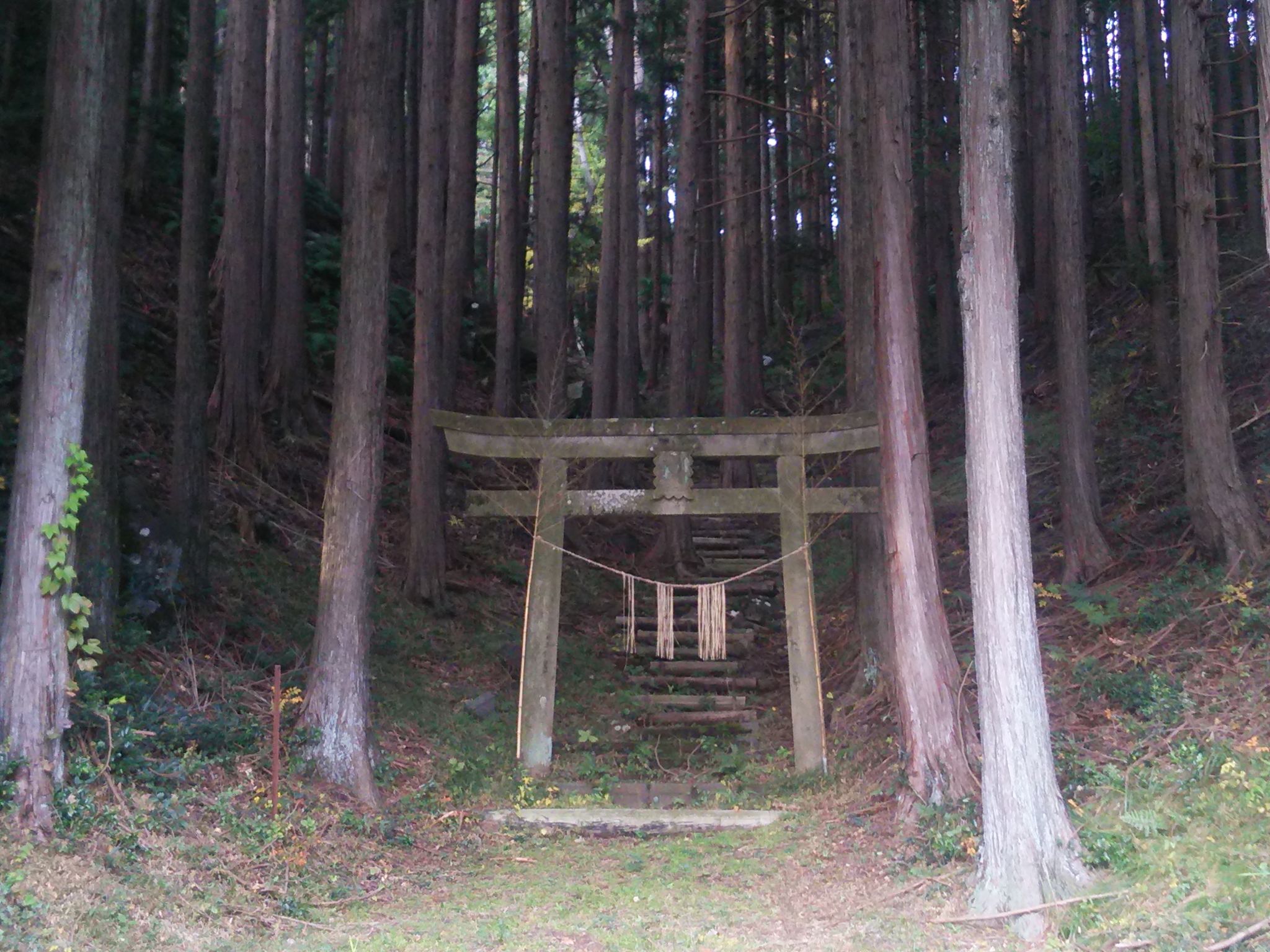 Japanese spirits