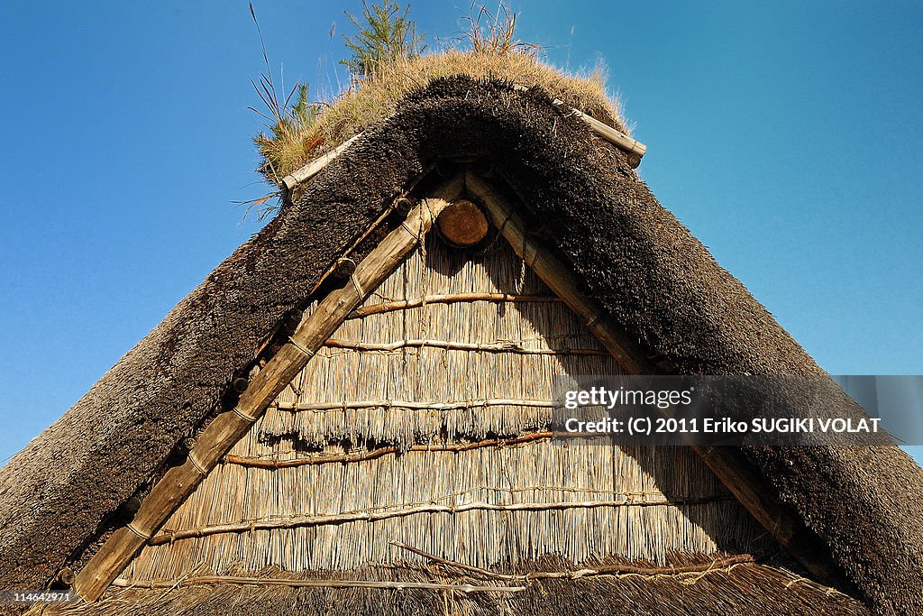 Thatching  chaume