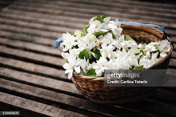 basket of jasmine - jasmine stock pictures, royalty-free photos & images