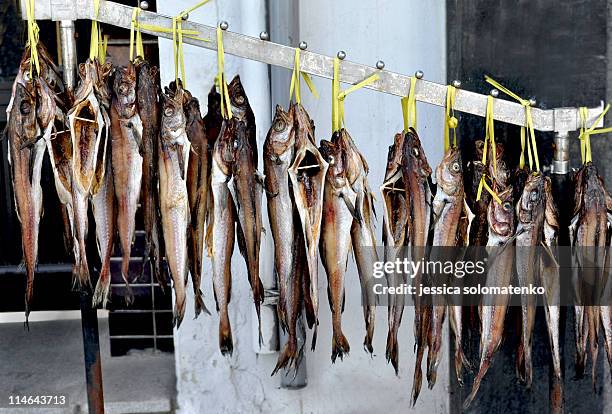 dried fish - jeollanam do stock pictures, royalty-free photos & images