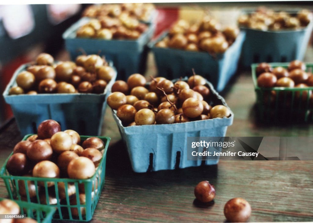 Scuppernong grapes