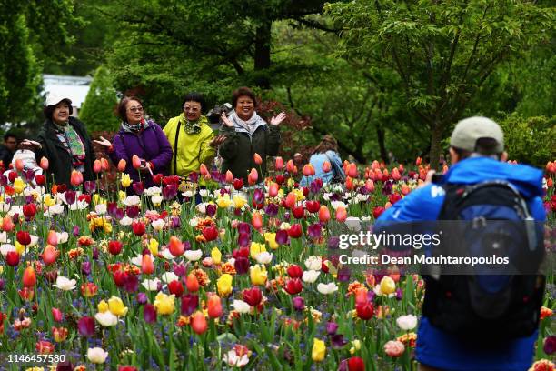 Visitors admire the floral displays on show at Keukenhof Gardens on May 01, 2019 in Lisse, Netherlands. The flower park is open to the public from...