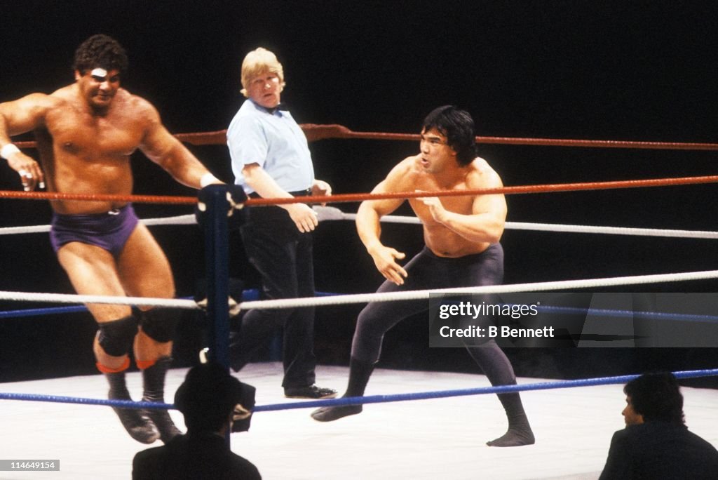 Ricky Steamboat v Don Muraco