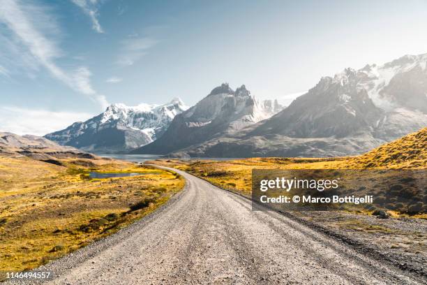 torres del paine national park, chilean patagonia - chile bildbanksfoton och bilder